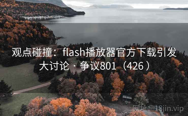 观点碰撞:flash播放器官方下载引发大讨论 · 争议801(426 ) 第2张 观点碰撞:flash播放器官方下载引发大讨论 · 争议801(426 ) 第2张